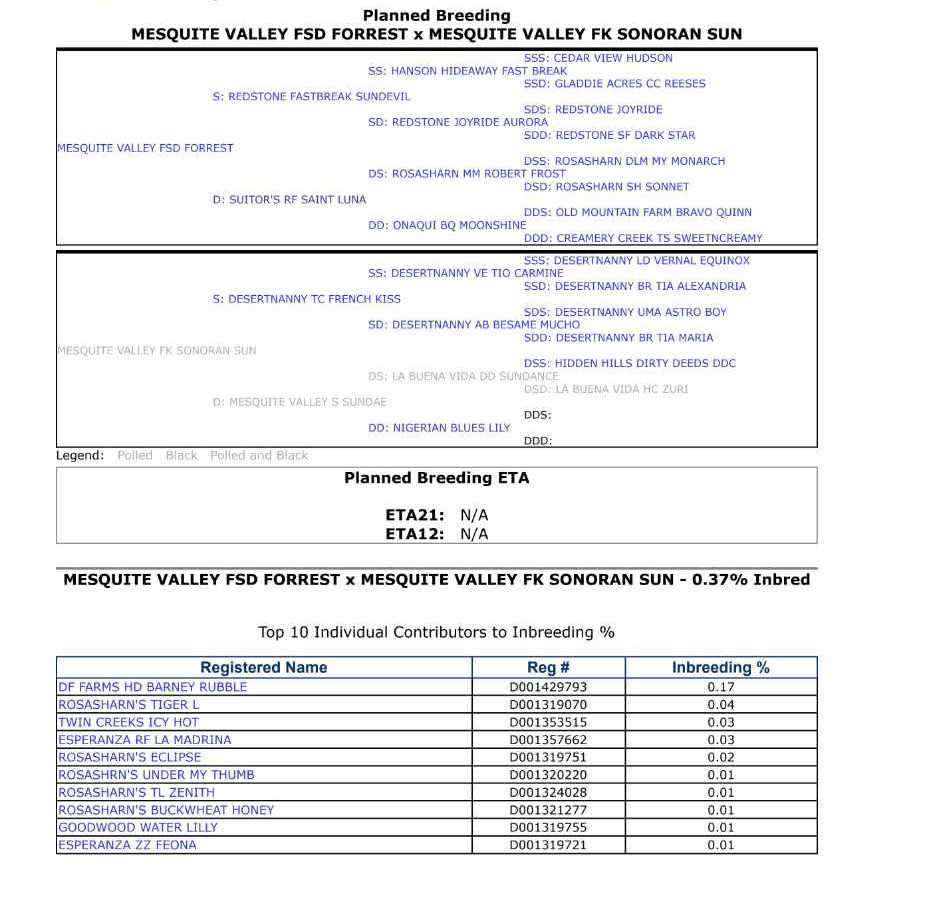 ADGA Pedigree for Sienna and Rain